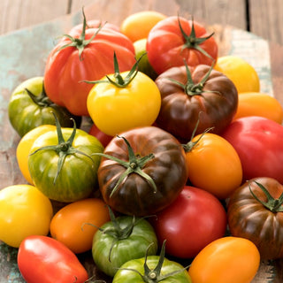 Tomate - Mischung verschiedener Sorten - Vielseitige Geschmacksvielfalt Für Jeden Anlass