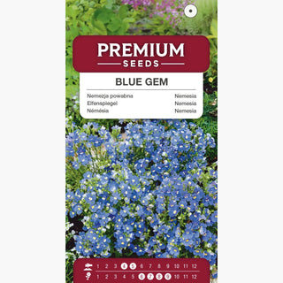 Elfenspiegel - Blue Gem - Ideal Für Kübel Und Beete - Nemesia strumosa