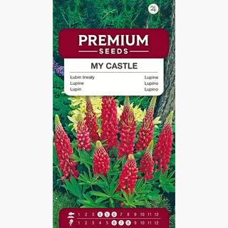 Lupine My Castle - Rote Blumen in prächtigen Ähren, ideal für Beete - Lupinus polyphyllus