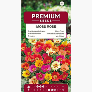 Portulakröschen Mischung - Eindrucksvolle Blumen, große, volle Blüten mit einem Durchmesser von 5 cm - Portulaca grandiflora