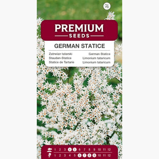 Stauden-Statice - Mehrjährig, Ideal Für Trockensträuße - Limonium tataricum