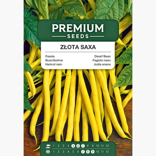 Buschbohne Golden Saxa - Schmackhaft, leicht zu kultivieren, ideal zum Einmachen