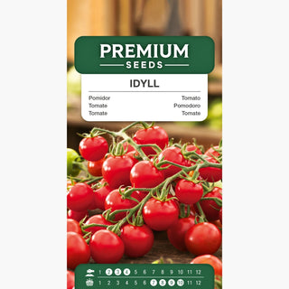 Tomate Idyll - Süße, saftige Früchte, reichliche Ernte