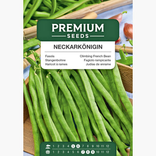 Stangenbohne - Neckarkönigin - Ideal Zum Kochen Und Einfrieren