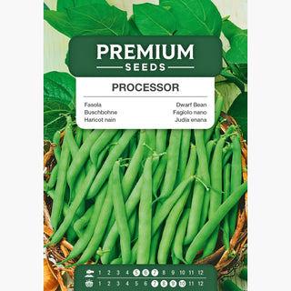 Buschbohne - Processor - Leicht Zu Ernten, Perfekt Zum Einfrieren