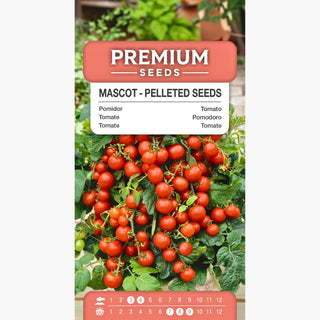 Tomate Mascot - Ertragreich und süß, ideal für Salate