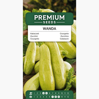 Zucchini Wanda - Frühe Sorte Für Grill Und Salate - Cucurbita pepo
