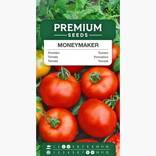Tomate Moneymaker - Ertragreich, ideal für Freiland und unter Schutz