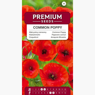 Klatschmohn - Flammende Dekoration für Beete - Papaver rhoeas