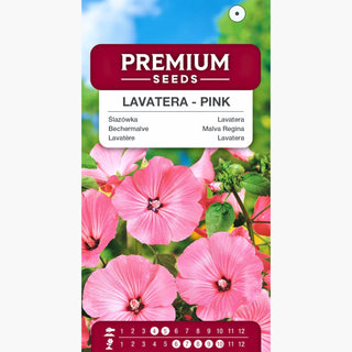 Bechermalve - Rosa - Atemberaubend, Dicht Wachsend, Pflegeleicht - Lavatera trimestris
