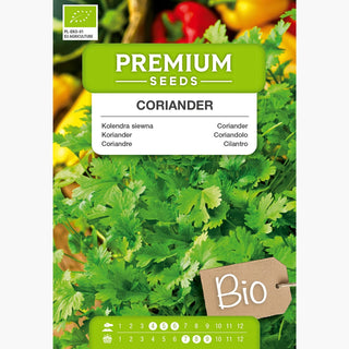 BIO Koriander - Perfekt Für Asiatische Und Mexikanische Küche - Coriandrum sativum