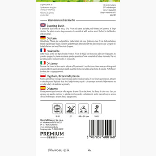 Diptam - Trockenheitsverträgliche Gartenpflanze - Dictamnus fraxinella