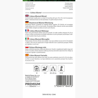 Buntnessel Blumei Mischung - Mehrfarbige Blätter, Topf- und Gartenpflanze, leicht zu kultivieren - Coleus blumei