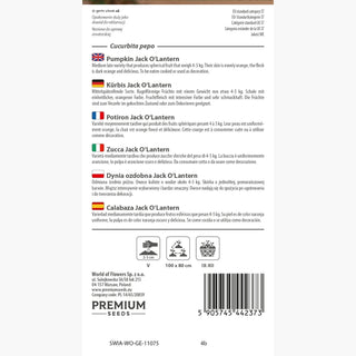 Kürbis Jack O'Lantern - Ideal für Laternen und Dekorationen, Früchte bis zu 10 kg