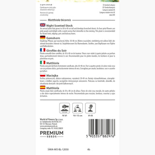 Gemshorn - Einfache Kultivierung, erstaunlicher Duft, perfekt für den Garten - Matthiola bicornis