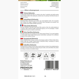 Schnittlauch Bohemia - Intensives Aroma, Hoher Ertrag, Kräftiges Wachstum