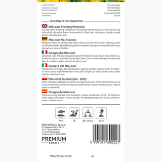Missouri Nachtkerze - Bodendeckende Zierstaude Für Hänge - Oenothera missouriensis