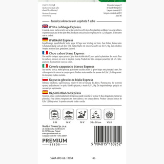 Weißkohl Express - Königin der frühen Ernte, blitzschnelle Geschmacksexplosion - Brassica oleracea var. capitata f. alba