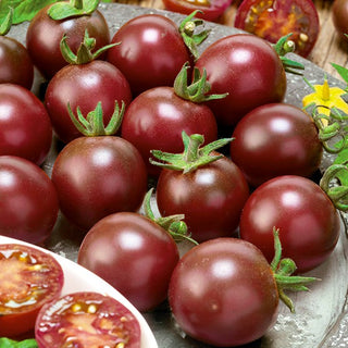 Tomate Black Cherry - Dunkle, süße Kirschtomaten, perfekt zum Naschen