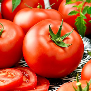 Tomato Adam F1 - Extra Productive, Resistant to Cracking - Premium Seeds