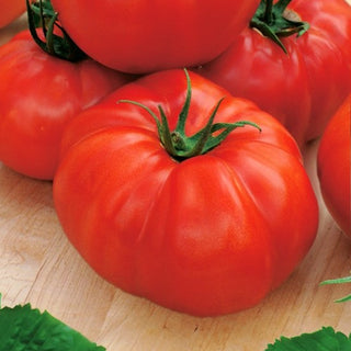 Tomato Saint Pierre - Very Productive, Extra Tasty - Premium Seeds