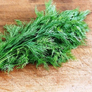 Dill 'Lukullus' - Hoher Ertrag, Schnelles Wachstum - 100 g