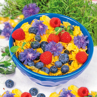 Edible Flowers Cornflower - Beautifully Blooming Addition to Salads and Drinks - Centaurea cyanus - Premium Seeds