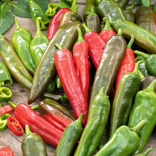 Pepper Anaheim Chili - Spicy Addition to Any Dish - Premium Seeds