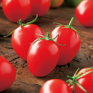 Tomato Principe Borghese - Productive, Ideal for Open Field, Tasty and Meaty Cherry-Type Fruits - Premium Seeds