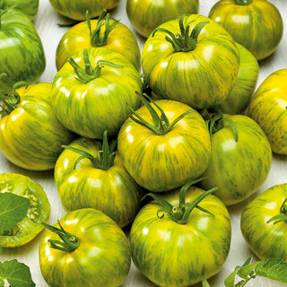 Tomato Smarald - Meaty and Sweet, Full of Flavour - Premium Seeds