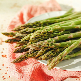 Spargel - Mary Washington - Traditionelle Sorte, Hoher Ertrag, Besonders Aromatisch - Asparagus officinalis - Premium-Saatgut