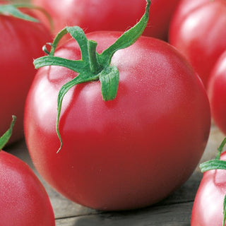 Tomato Raspberry Kujawski - Easy to Grow, Tasty and Abundant Harvests - Premium Seeds