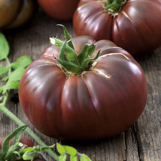 Noire de Crimee Tomato - Exotic Flavour, Chocolate-Coloured Skin - Premium Seeds