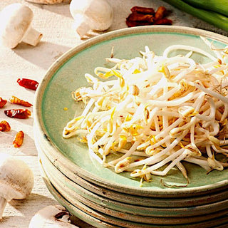 BIO Keimsprossen - Mungbohne - Knackiger Genuss Für Die Asiatische Küche - Premium-Saatgut
