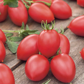 Raspberry Delicacy Tomato - Early, Juicy Cherry-Type Fruits - Premium Seeds