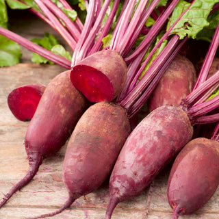 Rote Rübe - Renova - Ertragreiche Sorte, Besonders Zuverlässig - 500 g