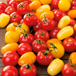 Kirschtomaten - Bunte Mischung - Kleine Früchte, Süß, Saftig, Perfekt Für Salate