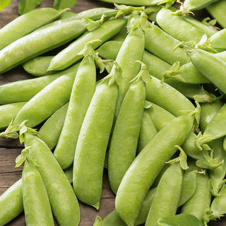 Sugar Pea Hetman - Delicate Juicy Pods, Perfect for Salads - Pisum sativum - Premium Seeds