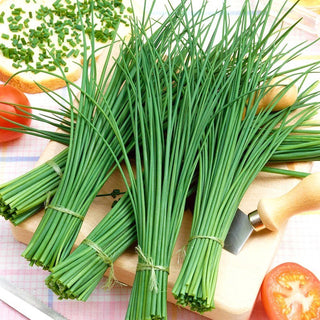 Medium Leaf Chives - Spicy Addition to Dishes - Premium Seeds