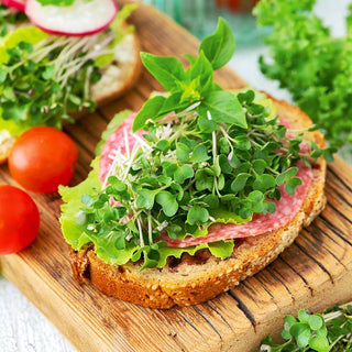 Microgreens Broccoli - Nutritional Powerhouse - Premium Seeds
