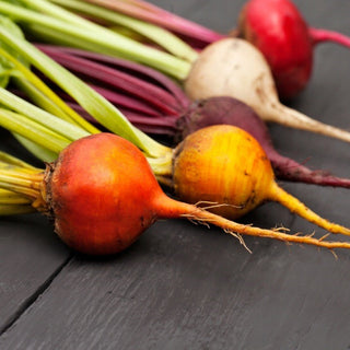 Beetroot - Mix of Colourful Varieties - Distinctive Flavour, Rich Yield - Premium Seeds