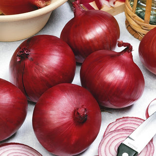 Zwiebel Karmen - Rote Zwiebel, perfekt für Salate und Sandwiches - Mega-Packung - 500 g