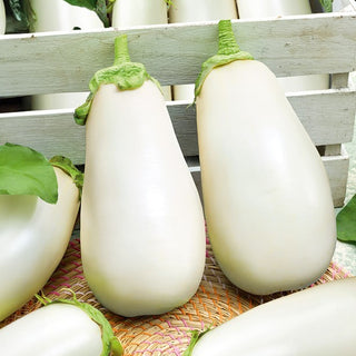 Aubergine - Clara F1 - Cremiges Fruchtfleisch, Perfekt Zum Backen
