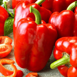 Granova Sweet Pepper - Easy to Grow, Highly Resistant, Wonderful Taste - Premium Seeds