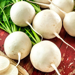 Snowball Turnip - Juicy, Tasty, Full of Vitamins - Brassica rapa - Premium Seeds