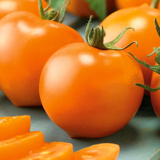Tomate Akron F1 - Frühe Reife, Hoher Ertrag, Krankheitsresistent