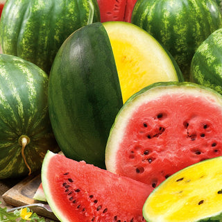 Wassermelone - Mischung verschiedener Sorten - Bunte Mischung Saftiger Früchte