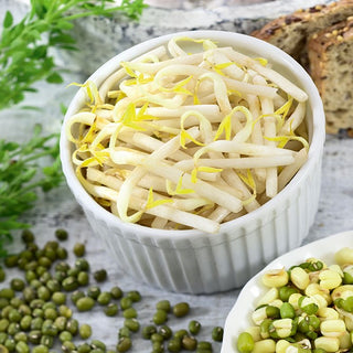 BIO Keimsprossen - Mungbohne - Vielseitige Quelle Für Gesundheit - Großpackung - 250 g - Premium-Saatgut