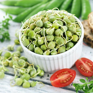 Grüne Erbse - Keimsprossen - Angenehm Süß, Natürliche Ballaststoffquelle - 500 g - Premium-Saatgut