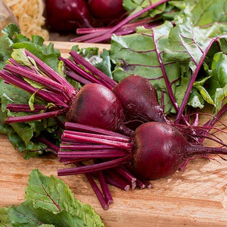 Rote Rübe Bona - Beliebt, Widerstandsfähig, Ertragreich - 500 g